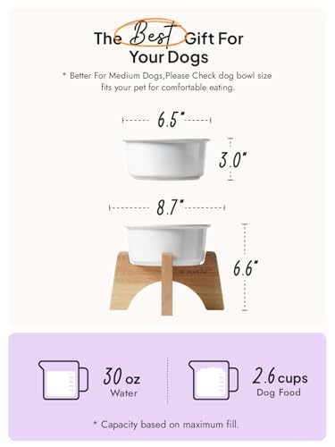 Raised Dog Bowl, 6.5 inch Elevated Dog Bowl Stand, Ceramic Dog Food Bowl with Wooden Stand, Dog Feeder for Small and Medium Breed, Set of 1, White Raised Dog Bowl, 6.5 inch Elevated Dog Bowl Stand, Ceramic Dog Food Bowl with Wooden Stand, Dog Feeder for Small and Medium Breed, Set of 1, White