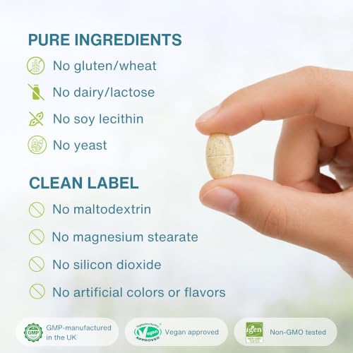 Igennus Healthcare Nutrition IGN236 B12 Vitamin