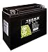 Produktbild TECNO-GEL Motorrad-Batterie Y50-N18L-A f. Honda GL 1000, 1100, 1200, 12V Gel-Batterie 20Ah, DIN 52016, 205x90x160 mm