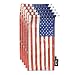 Microclear Cleaning / Storage Bag (American Flag)