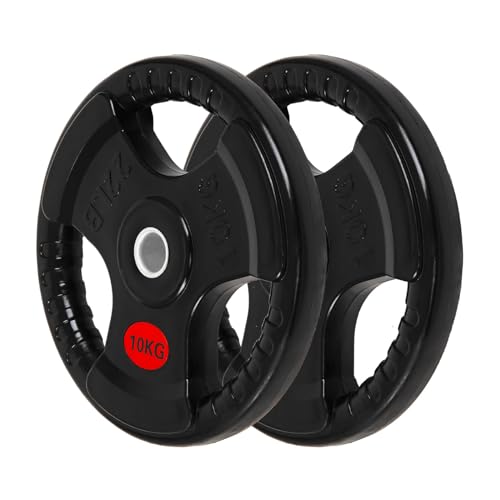 ALLinLIFE Discos Pesas, 2.5/5/7.5/10/15/20kg, Discos Mancuernas de Hierro Fundido Ø30/50mm, Antideslizante/Impermeable, Discos de Pesas Metálicas para Barras Olimpicos (Ø50mm-10kg*2)