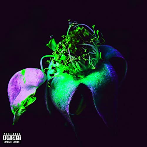 Supplements [Explicit]