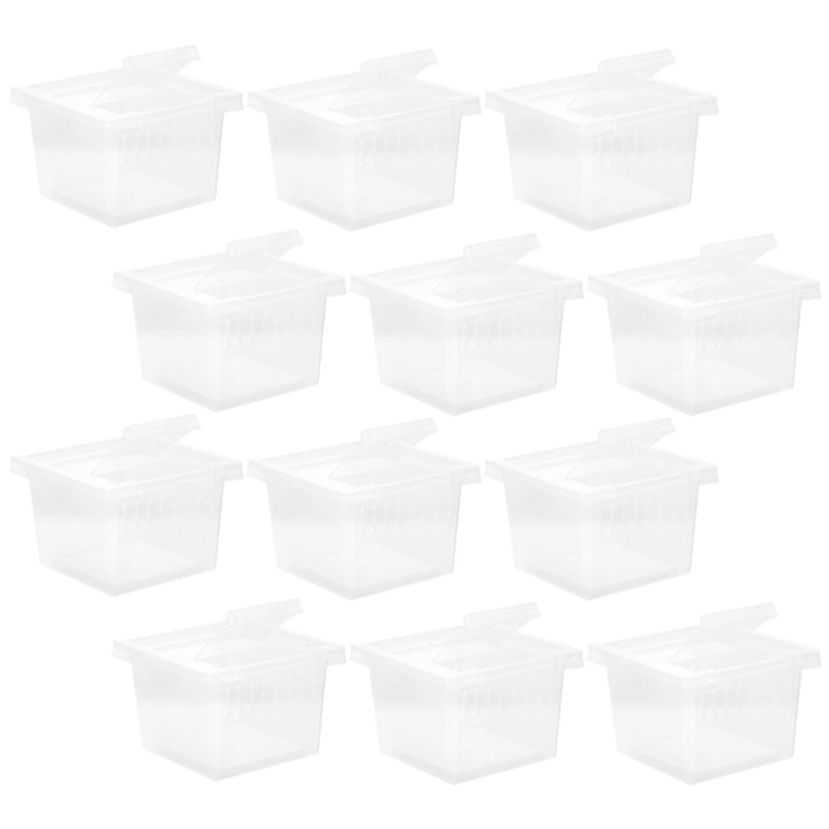 BESPORTBLE 12pcs Faunarium Reptile Box Plastic Multi-function Keeper with Breathable Hole for Household Use, Portable Reptile Cage Suitable for Crickets and House Lizards