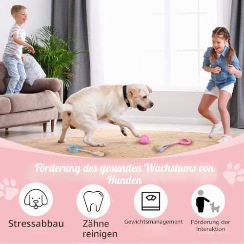 Ailvor 6 Stück Welpenspielzeug,Kauspielzeug Hund