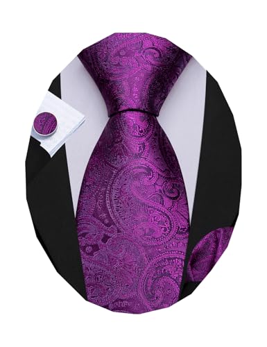Image of Barry.Wang Men Ties Paisley Woven Silk Necktie Set with Pocket Suqare Cufflinks Formal