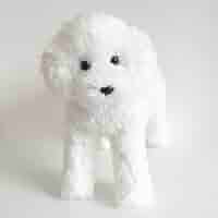 トイプードルアプリコットちゃん♡立ちポーズ。ビッグサイズ Amazon.co.jp: ぬいぐるみ 犬 リアル トイプードル