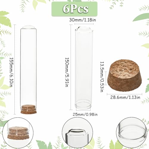 Bocal en verre avec base en liège pour protéger vos souvenirs et fleurs - 3