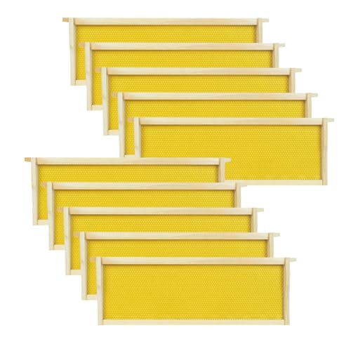 HiveSweet Medium Beehive Frames with Wax Foundations 10 Pack Beeswax Coated Foundations 6-1/4-Inch Beekeeping...