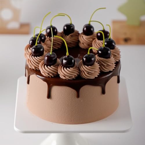 LIINC 誕生日ケーキ 記念日ケーキ 食品 サンプル 直径20cm 6インチ 詰め合わせ お菓子 おかし 食品模型 ディスプレイ用 模型 フェイク 本物そっくり リアル 見本 食玩 セット 展示 販促 グッズ ままごと お店屋さん 撮影道具 (チョコレー