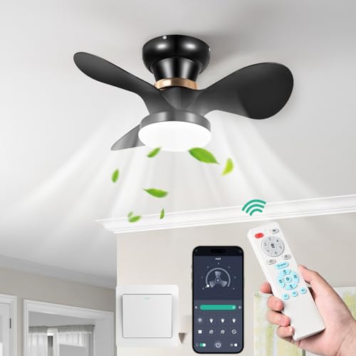 FIMEI Ventilador de Techo con Luces, Ventilador de 6 Velocidades Reversible y Atenuación Continuas, Control Remoto y APP, Iluminación de Ventilador Moderna para Sala de Estar, 60CM, Temporizador