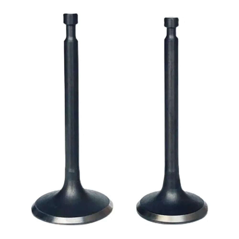 Jfdlbv 168-170F-Gx160 Into The Valve Fit For Generator Pump Tillage Machine Accessories 152 168F 170 177F 188F 190F 192F(168-170F-Gx160)