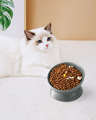 Image of LoeJan Elevated Cat Food Bowl, 5 Oz Ceramic Raised and Tilted Water Bowl, Anti Vomiting and Protect Pets' Spines Dishes for Small Dog, Fat Faced Cat, Kitten (Gray, 1 Pack)