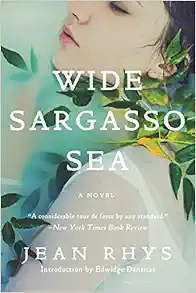 Wide Sargasso Sea book cover