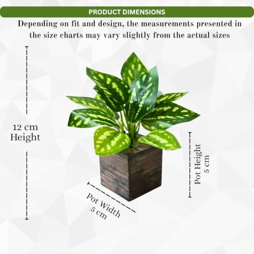 Image of DecoreBugs Artificial Real Touch Flower Plant with Pot (Pack of 2), 16 cm Height, Decorative Faux Floral Plant for Home, Office, Living Room, Bedroom, Table & Shelf Decor