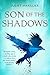 Son of the Shadows: Book Two of the Sevenwaters Trilogy (The Sevenwaters Series 2)