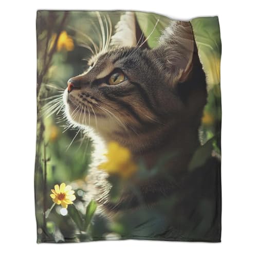 Couverture plaid chat ultra douce pour réchauffer vos hivers en douceur - 2