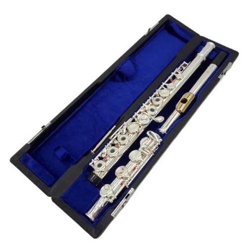 t[gy vtFbVit[gVo[S[hbLbvv[gN[Yhz[(1)