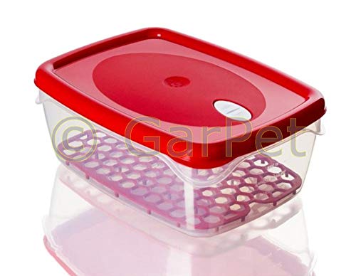 Bama Spa Aufbewahrungsbox Frischhalte Gefrier Vorrats Dose Box Dampfventil Abtropfgitter 5,0 L