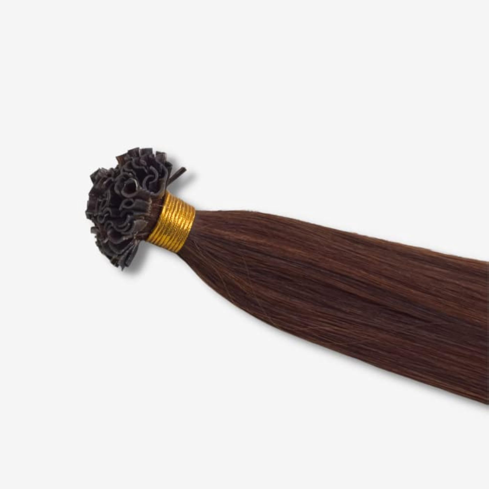 Hairarchy U-Tip Real Human Hair Extensions, 24 Inch, Chocolate Brown