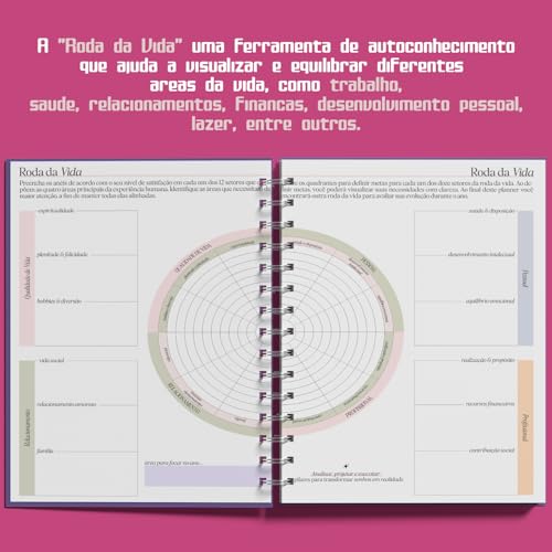 Planner Semanal 2025 Pickup Disc Retro - Planejamento Semanal, Roda da Vida, Finanças, Metas e Inspi