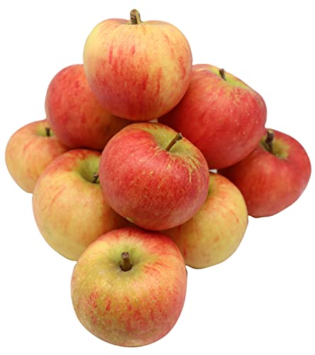 Bleichhof Äpfel Red Boy - festfleischig, etwas lieblicher als Rubinette (3kg)