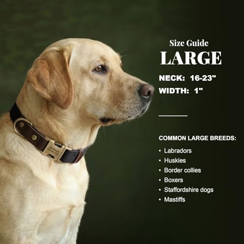 Image of Personalized PU Leather Dog Collars,Quick Release Buckle,Black,L