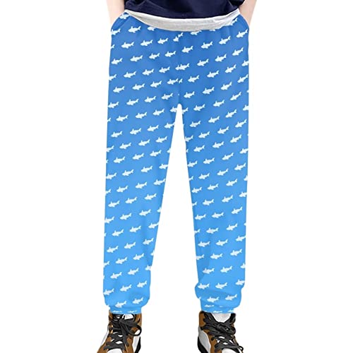 SEANATIVE Kids Stretch Sweatpants Casual Pull on Sport Jogger Pants for Boys Girls