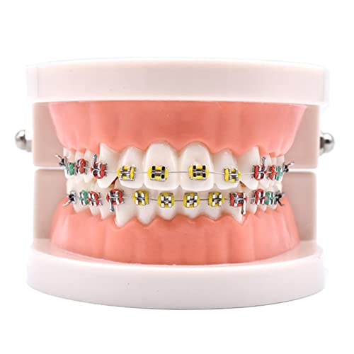 MIBICIRI 1s[XȃfXg[VfC[ƃuPbg(^uPbg)