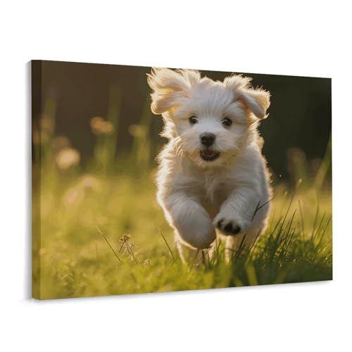 Toile de Noël avec cadre 40x30 cm motif chiot pour décoration murale de salon