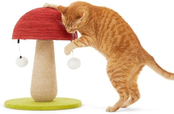 EveryYay by Petco Toadstool Scratch Post for Cats