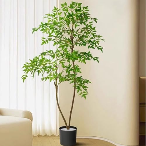 観葉植物 水やり不要」の人気商品一覧 | 安い商品を通販サイトから探す