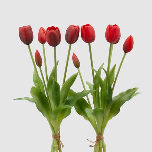 Enzo De Gasperi Edg Set 2 Bouquet Di Tulipani Sfumature Di Rosso