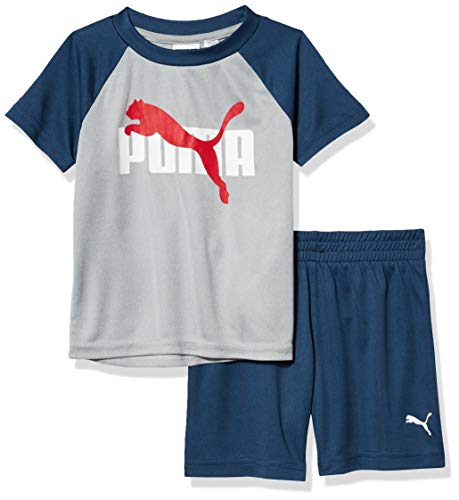 PUMA Baby Boys' Performance T-Shirt, Grey43, 12M