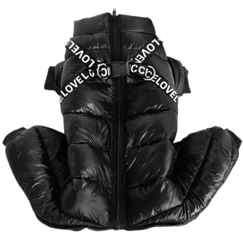 JPETTO _E p[X ^ ^  Ȃ _ER[g ̕ V Xm[EFA hbOEFA p[J[ ~ ybg L _EWPbg N L _ExXg g h q gCv[h ` U 2