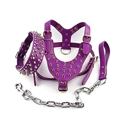 Generic Collare e Pettorina per Cani a Spillo con Borchie Set in Pelle PU Anti- Cerchio a D Resistente per L'addestramento a Piedi di Cani di Taglia Media e Grande (#2)