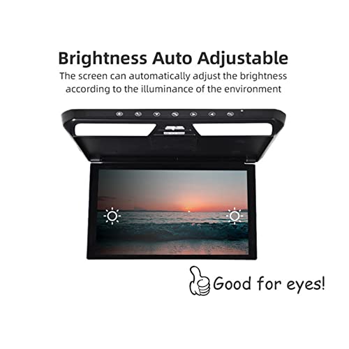 Monitor de techo coche de 12.1 pulgadas con TV multimedia y vídeo HD 5