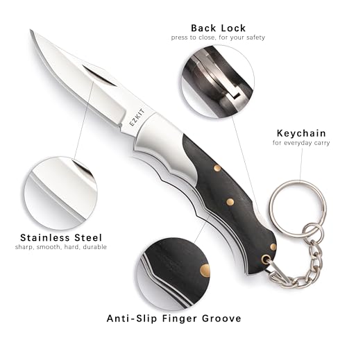 Image of Small Pocket Knife, EDC Pocket Knife, D2 Stainless Steel and Wood Handle, Small Knife, Blade Length 2in