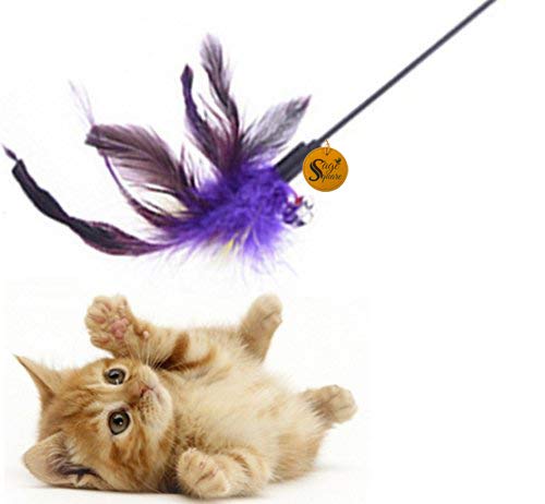 Sage Square Jumbo Cat Metal Interactive Toy (50 cm) (B07MDTW8ZC) Amazon Price History, Amazon Price Tracker