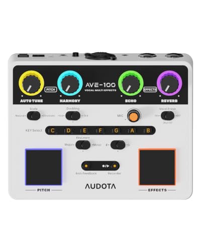 AVE-100 Efectos vocales