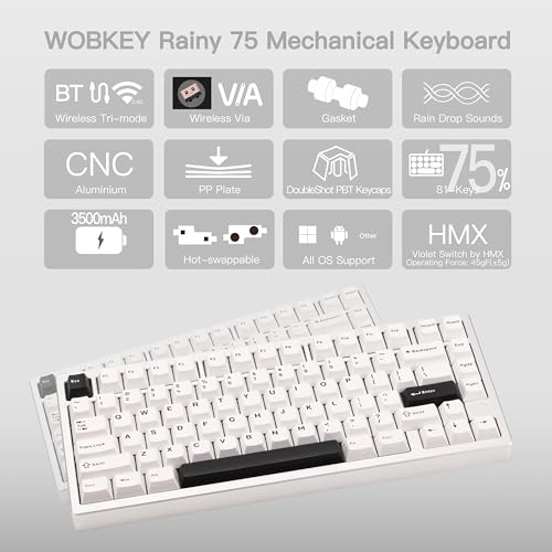 Image of KEEBMONKEY WOBKEY Rainy 75 CNC Aluminum HMX /JWK /Cocoa Switches Triple-Mode Connectivity Mechanical Keyboard with Superior Acoustics, No RGB /PP /Mirrored Glass /3500mAh /Violet Switch (Lite - Silver)