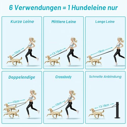 oneisall Freihandleinen für kleine & mittelgroße Hunde, Hundeleine 2.5m verstellbar Übungsleine & Führleine | Nylon Doppelleine mit 2 Karabiner Schwarz