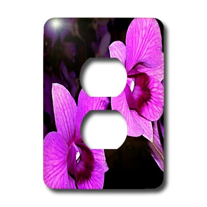 Couvercle de prise 2 orchidées 3dRose lsp_3553_6 plaque décorative interrupteur