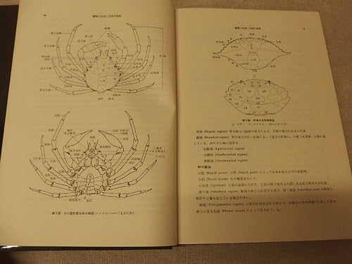 Amazon.co.jp: 0341071h日本産蟹類 3冊 酒井恒日本および日本近海の蟹