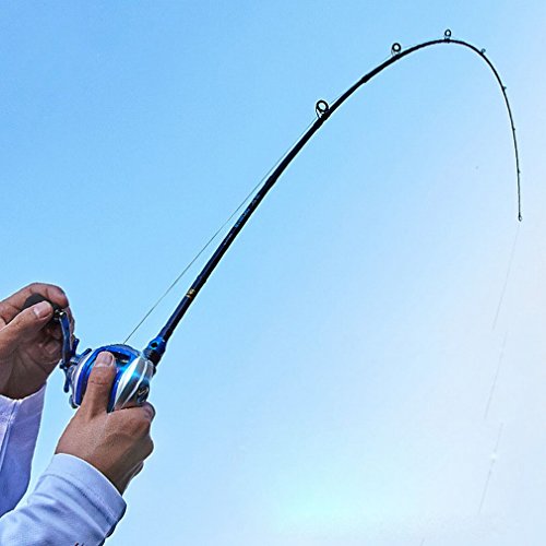 Canne à pêche set pistolet de pêche carbone DH haut niveau