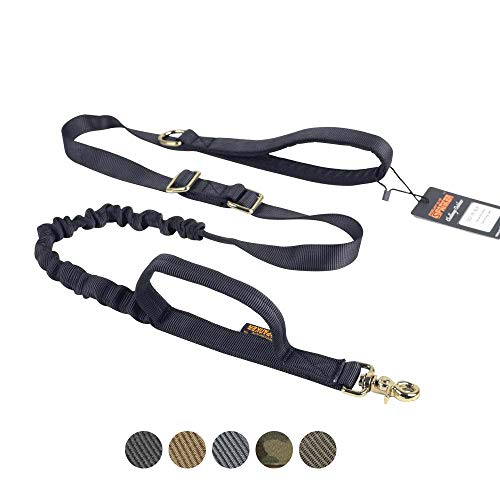 What Is The Best Leash For Training A Dog Top 14 Dog Fluffy