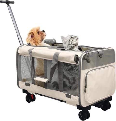 BOODPET Grote kattendrager, kattendrager voor 2 katten, opvouwbare huisdierendrager op wielen, 2-in-1 afneembare compartimenten – met gratis kattenspeelstok en opbergriem