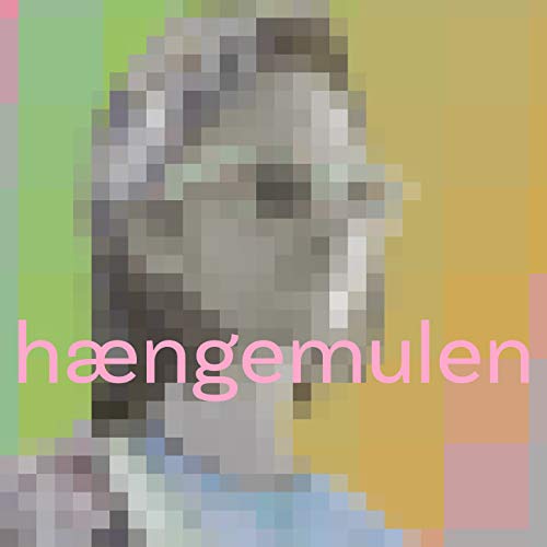  Kan man få en bøde for det?