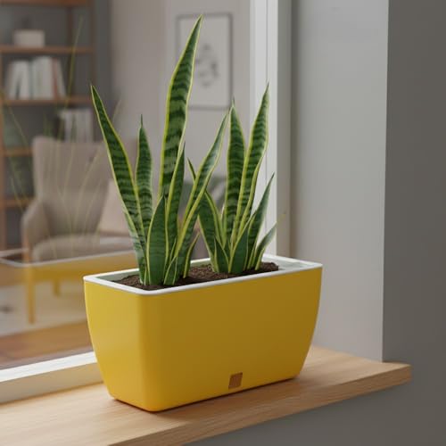 Image of GARDENCIA Self Watering Flower Pots for Outdoor Indoor Gardening /Rectangle Big Plant Pot with Polypropylene UV Material /Decorative Modern Gamla (Yellow, Pack of 6)