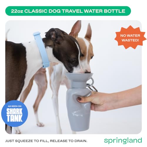 Image of Springer Dog Water Bottle | Portable Travel Drinking Feeder Dispenser for Dogs & Puppies | As Seen on Shark Tank | Leak-Proof Bowl | BPA-Free | Outdoor Walking, Hiking & Travel | 22oz Gray