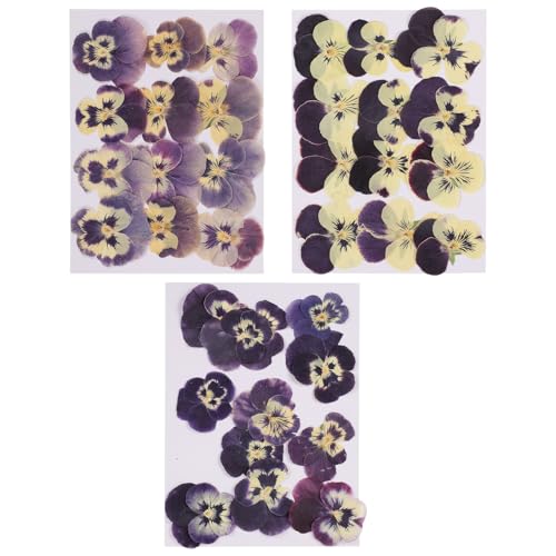 Flores secas prensadas naturales 36 pcs para manualidades miniatura 1